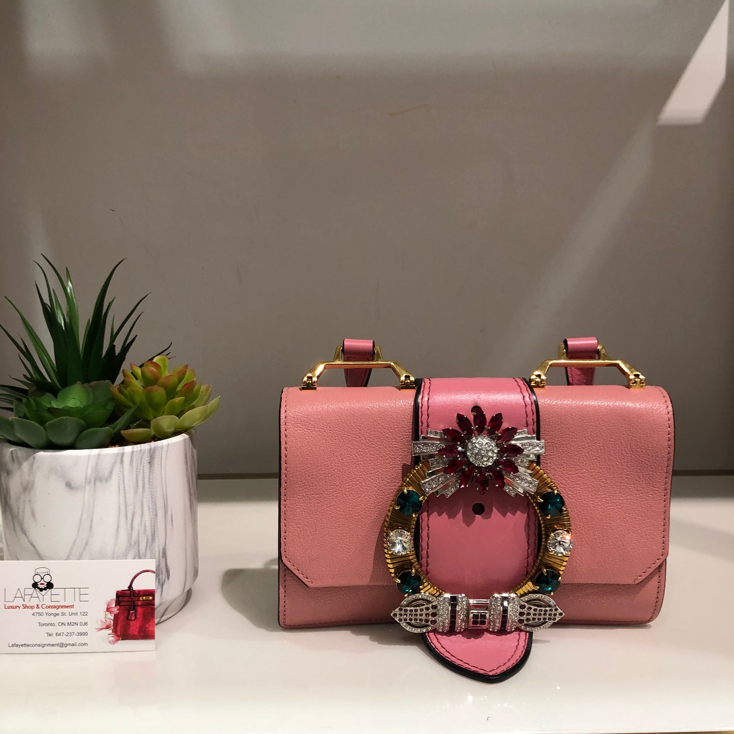 MIU MIU Pink Bag