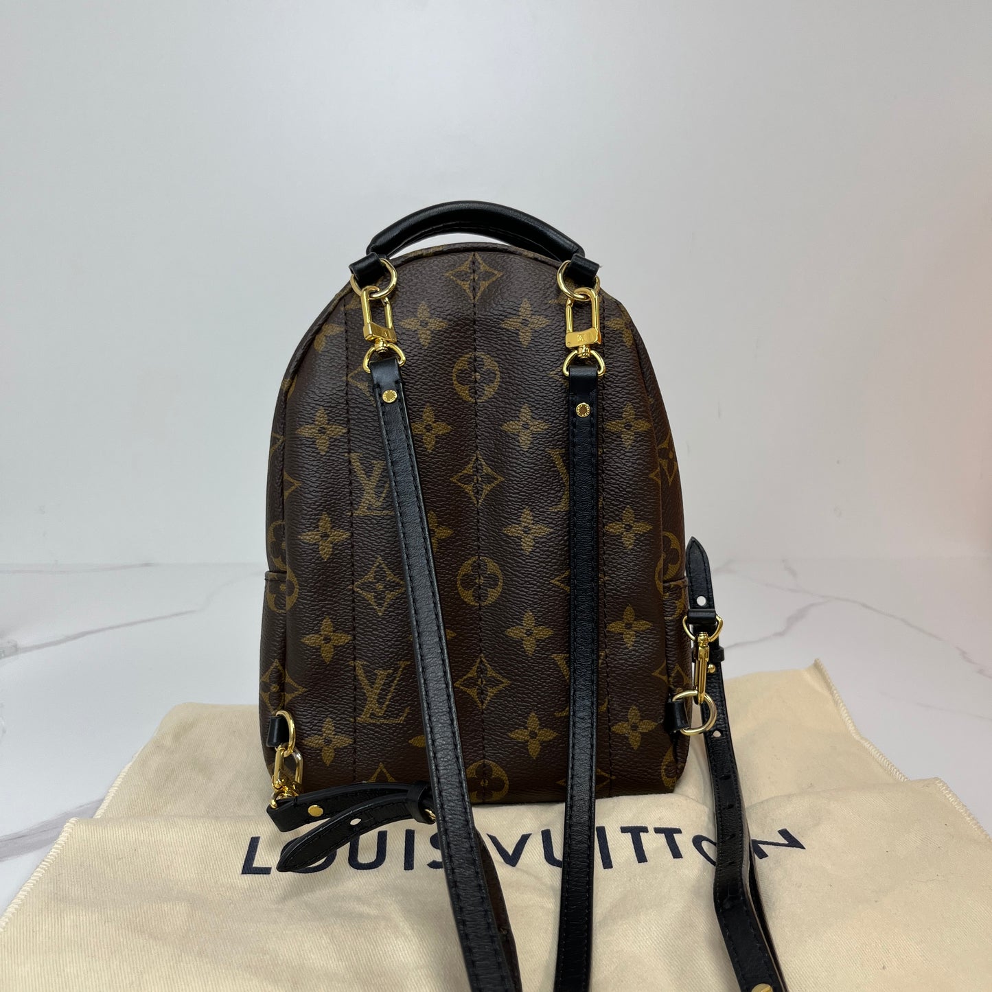 Louis Vuitton Palm Springs Mini - Lafayette Consignment