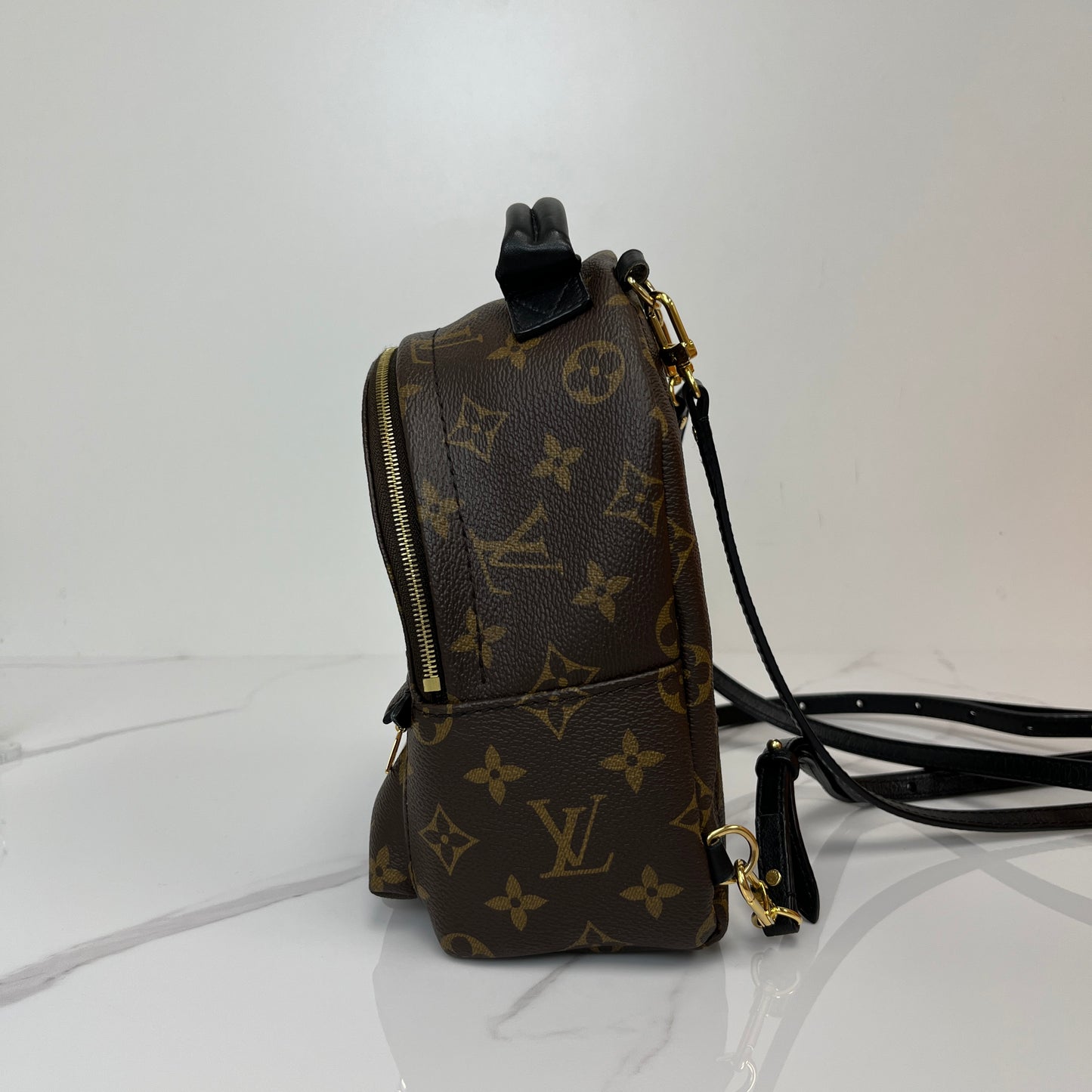 Louis Vuitton Palm Springs Mini - Lafayette Consignment