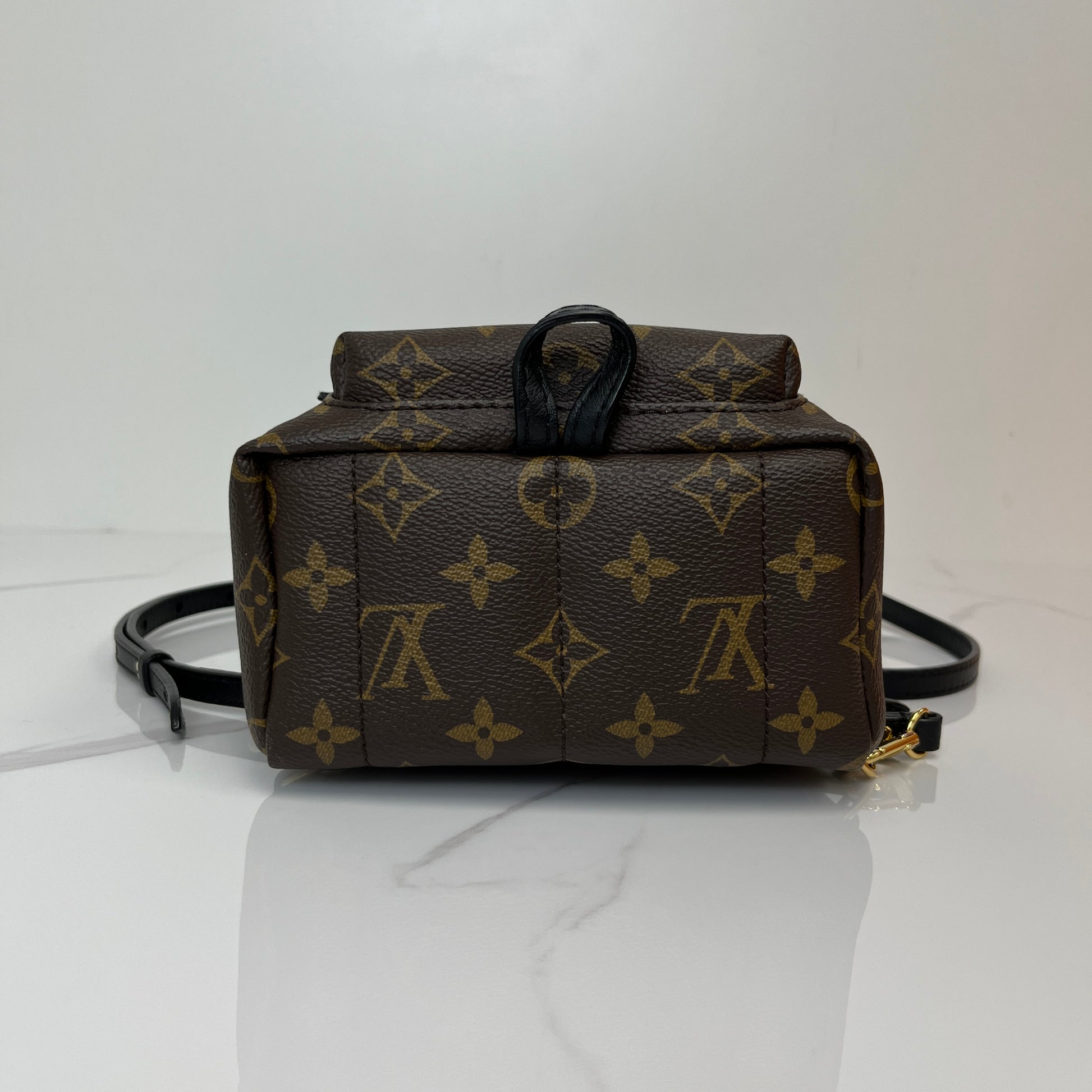 Louis Vuitton Palm Springs Mini - Lafayette Consignment